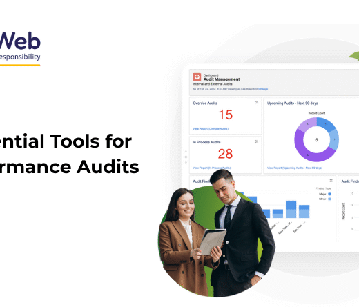 Performance Audits