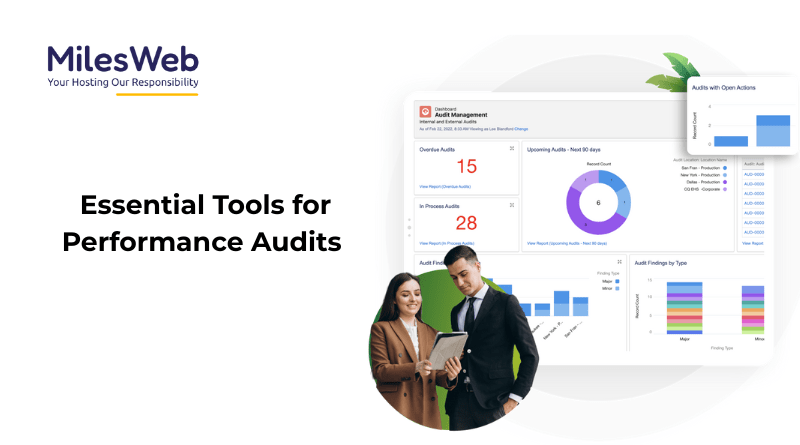 Performance Audits